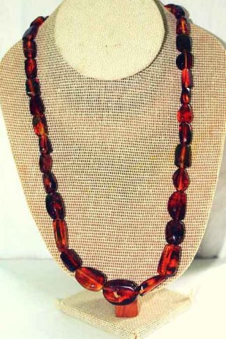 TUXTLA Un Fino Collar de Ámbar